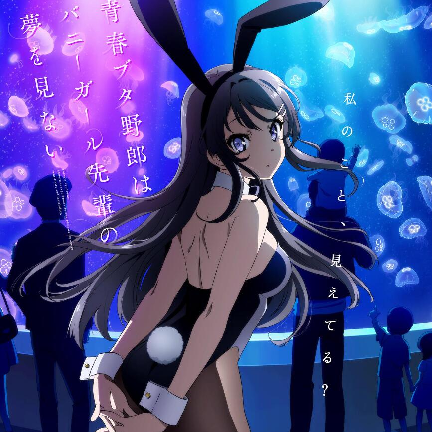 青春期笨蛋不做兔女郎学姐的梦,青春期猪头少年不做兔女郎学姐的梦,青春猪头少年不会梦到兔女郎学姐,「青春ブタ野郎」シリーズ,青春猪头少年系列/全13集+真人SP+剧场版+各种mp3音乐/（L011）